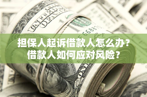 北京担保人起诉借款人怎么办？借款人如何应对风险？
