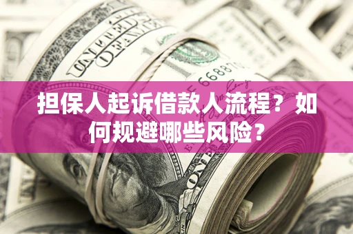 北京担保人起诉借款人流程？如何规避哪些风险？